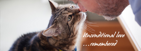 pet memorial: honor the memories of your loyal, furry friends